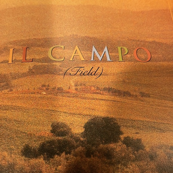 Frances Mayes “InTuscany” A Table, Picture, Travel, Story, Recipe Book. The Best - Picture 12 of 16